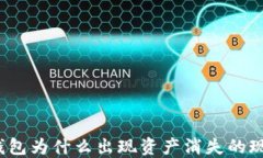 TP钱包为什么出现资产消失