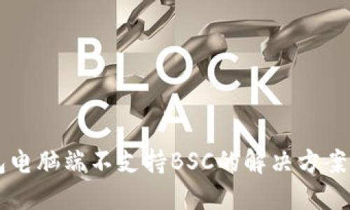 关于TP钱包电脑端不支持BSC的解决方案与替代选项