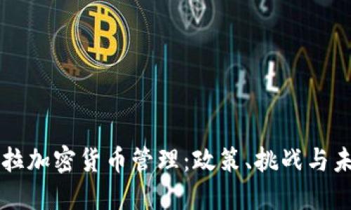 委内瑞拉加密货币管理：政策、挑战与未来展望