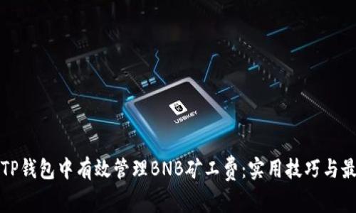 如何在TP钱包中有效管理BNB矿工费：实用技巧与最佳实践