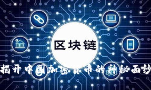 OnlyChain：揭开中国加密货币的神秘面纱与未来前景