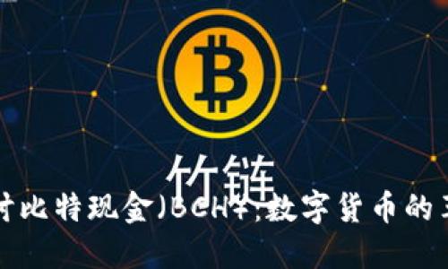 深入探讨比特现金（BCH）：数字货币的革命之路