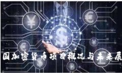 中国加密货币项目概况与