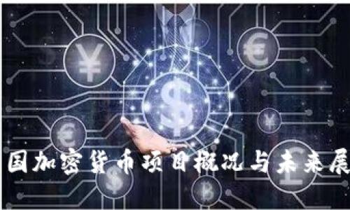 中国加密货币项目概况与未来展望