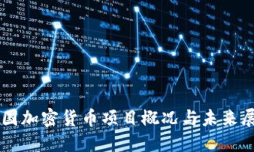 中国加密货币项目概况与未来展望