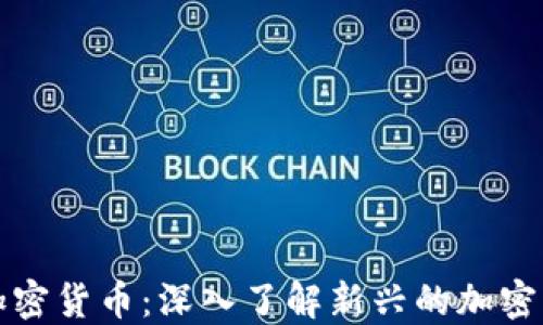 
非数字加密货币：深入了解新兴的加密资产趋势