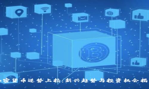 加密货币逆势上扬：新兴趋势与投资机会揭示