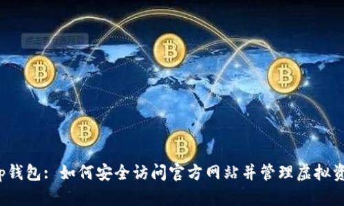 t p钱包: 如何安全访问官方网站并管理虚拟资产