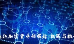 :怒江加密货币的崛起：机