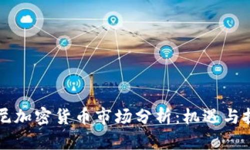 印尼加密货币市场分析：机遇与挑战