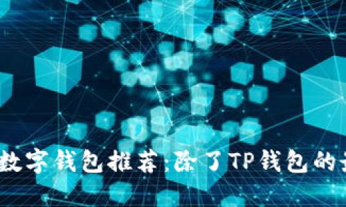 2023年大热数字钱包推荐：除了TP钱包的最佳替代选择