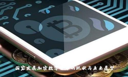 国家发展加密数字货币的现状与未来展望