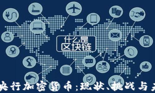 
新加坡央行加密货币：现状、挑战与未来展望