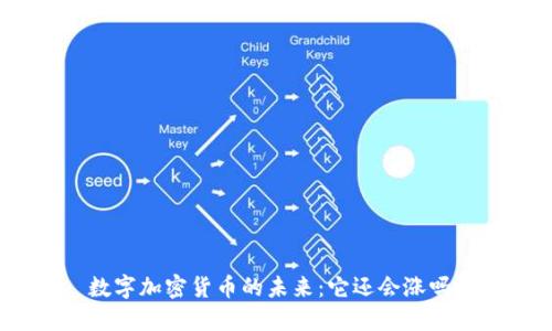 数字加密货币的未来：它还会涨吗？