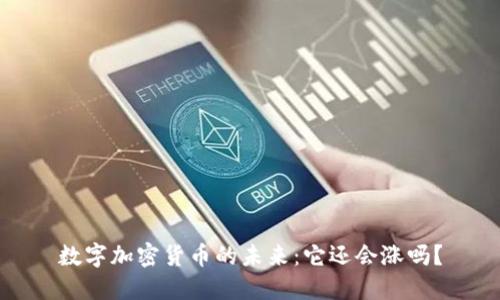 数字加密货币的未来：它还会涨吗？
