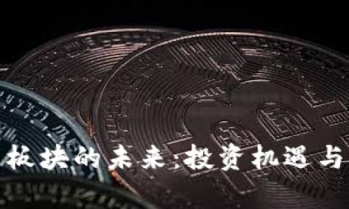 加密货币板块的未来：投资机遇与挑战分析