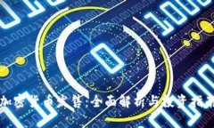 加密货币发售：全面解析