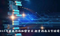 2023年最流行的加密货币：
