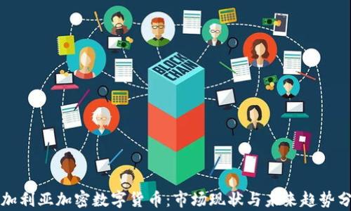 
保加利亚加密数字货币：市场现状与未来趋势分析