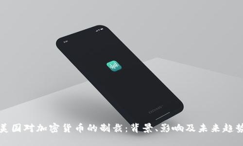 美国对加密货币的制裁：背景、影响及未来趋势
