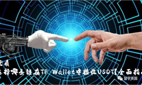 优质
选择哪条链在TP Wallet中接收USDT？全面指南