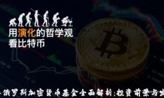 2023年俄罗斯加密货币基金