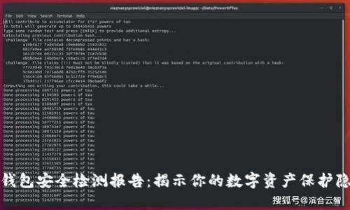 TP钱包安全检测报告：揭示你的数字资产保护隐患