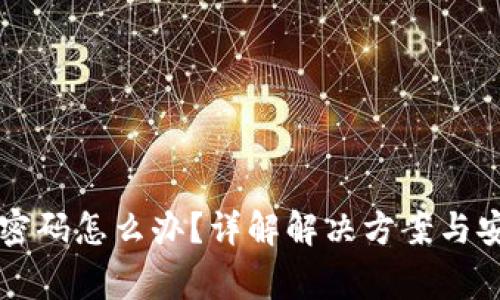 忘记TP钱包密码怎么办？详解解决方案与安全注意事项