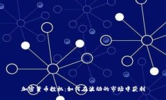 加密货币投机：如何在波