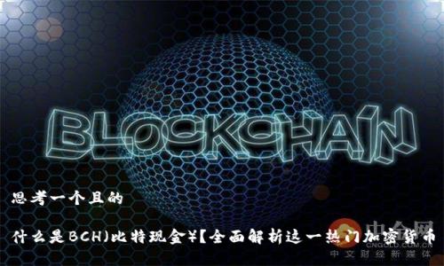 思考一个且的

什么是BCH（比特现金）？全面解析这一热门加密货币
