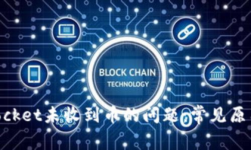 解决TokenPocket未收到币的问题：常见原因及排查方法