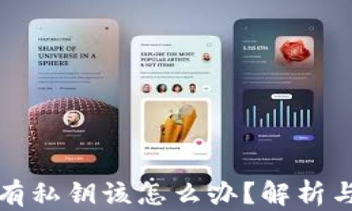 
TP钱包没有私钥该怎么办？解析与解决方案