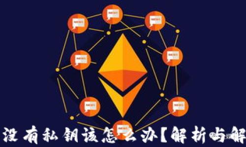
TP钱包没有私钥该怎么办？解析与解决方案