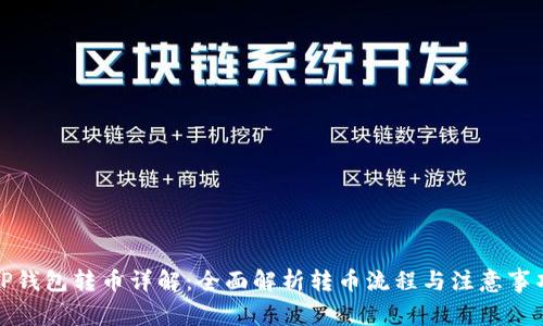 TP钱包转币详解：全面解析转币流程与注意事项