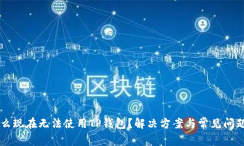 为什么现在无法使用TP钱包？解决方案与常见问题解析