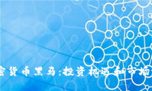 BTCV加密货币黑马：投资机遇和市场潜力分析