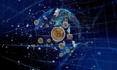 如何找到支持Musk币的TP钱