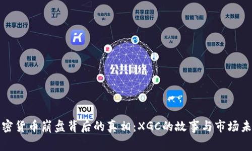 加密货币崩盘背后的真相：XGC的故事与市场未来