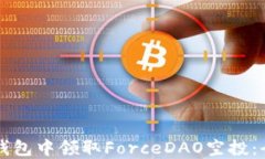 如何在TP钱包中领取Force