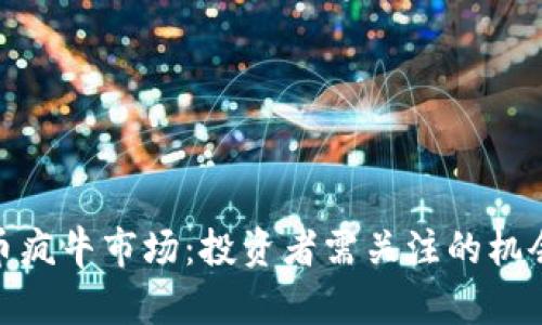 加密货币疯牛市场：投资者需关注的机会与风险