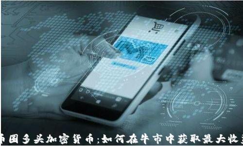 
币圈多头加密货币：如何在牛市中获取最大收益
