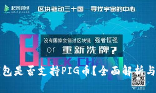 TP钱包是否支持PIG币？全面解析与指南