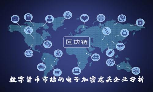 数字货币市场的电子加密龙头企业分析