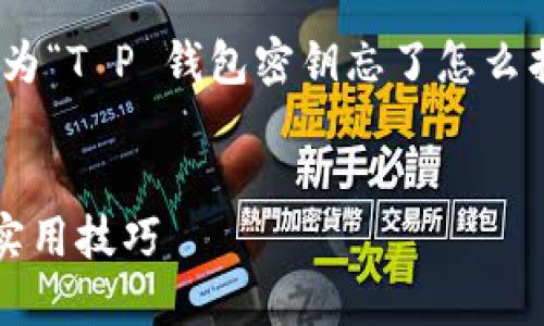 思考和关键词

在考虑用户的搜索需求时，我们将尝试为“T P 钱包密钥忘了怎么找回”提供一个优质的  和相关关键词。

:
如何找回 T P 钱包密钥：详细步骤与实用技巧