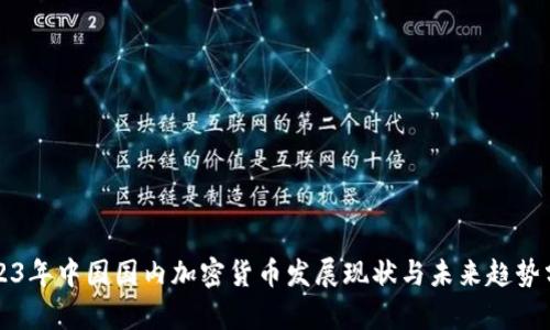 2023年中国国内加密货币发展现状与未来趋势分析