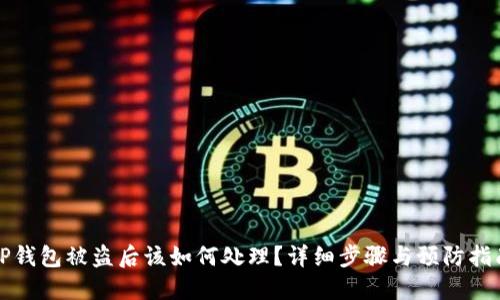TP钱包被盗后该如何处理？详细步骤与预防指南