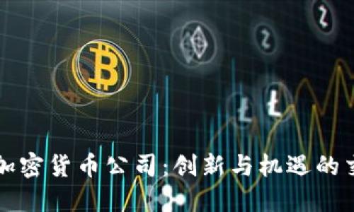 硅谷加密货币公司：创新与机遇的交汇点