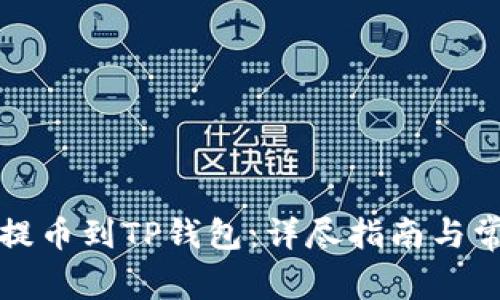 如何将中币提币到TP钱包：详尽指南与常见问题解答