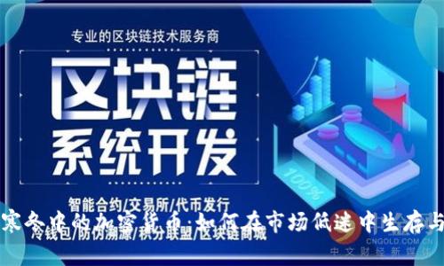 资本寒冬中的加密货币：如何在市场低迷中生存与发展