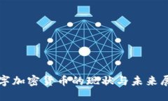 数字加密货币的现状与未
